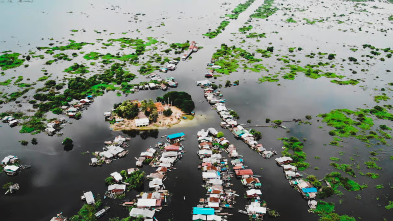 Traditional boat tour through Kompong Phluk floating village and flooded forest on Tonle Sap Lake near Siem Reap Cambodia